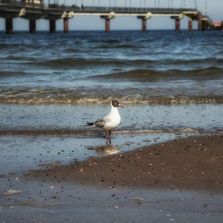 Apartament Playa Baltis 10 Miedzyzdroje Luaran gambar